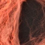 productHero-SPOTWF-80631484-3