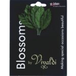 productHero-SPOTWF-BP80111972001-green-2