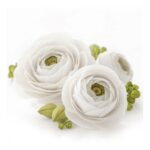 productHero-SPOTWF-BP80215744-white-3