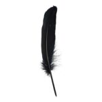 productHero-SPOTWF-BP80344369-black-2
