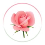 productHero-SPOTWF-BP80366392-rose-2