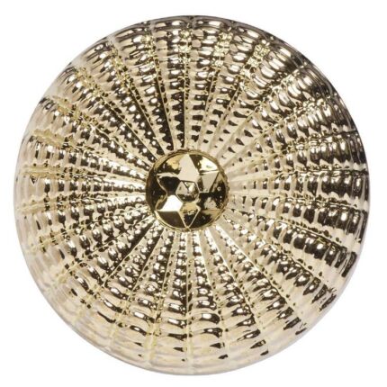 productHero-SPOTWF-BP80372829-gold