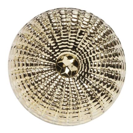 productHero-SPOTWF-BP80372890-gold