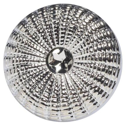 productHero-SPOTWF-BP80372902-silver