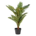 productHero-SPOTWF-BP80392555-green