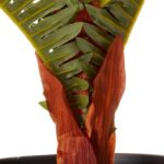 productHero-SPOTWF-BP80392555-green-4