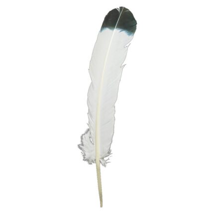 productHero-SPOTWF-BP80396037-ivory-indigo-2