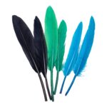 productHero-SPOTWF-BP80396039-cool-2