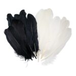 productHero-SPOTWF-BP80396043-black-white-2
