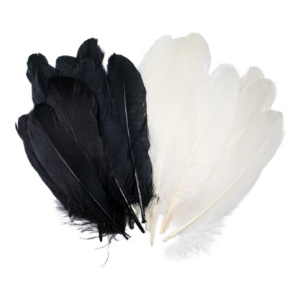 productHero-SPOTWF-BP80396043-black-white-2