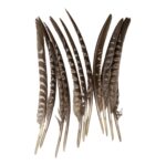 productHero-SPOTWF-BP80396053-natural-2