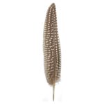 productHero-SPOTWF-BP80396055-natural-2