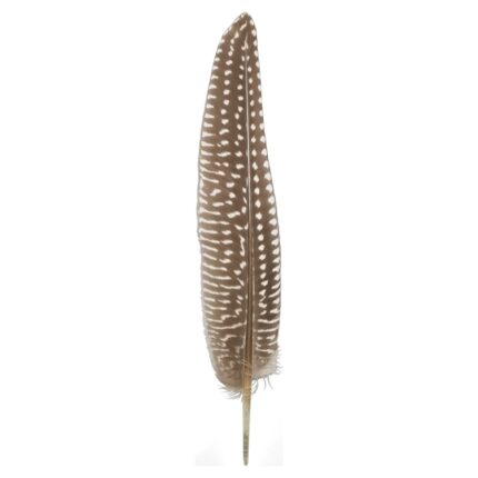 productHero-SPOTWF-BP80396055-natural-2