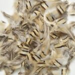 productHero-SPOTWF-BP80396056-natural-2