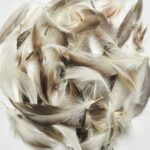 productHero-SPOTWF-BP80396057-natural-2