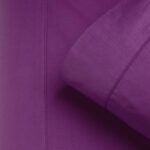 productHero-SPOTWF-BP80421399-berry
