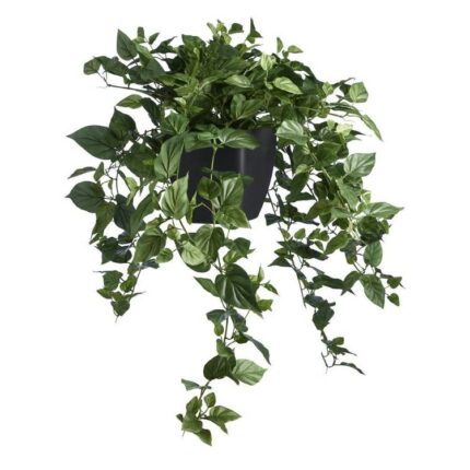 productHero-SPOTWF-BP80433735-green