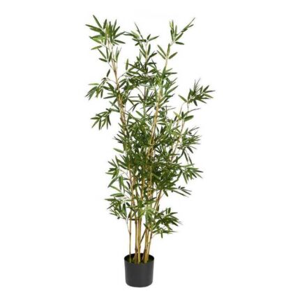 productHero-SPOTWF-BP80449662-green
