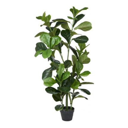 productHero-SPOTWF-BP80460740-green