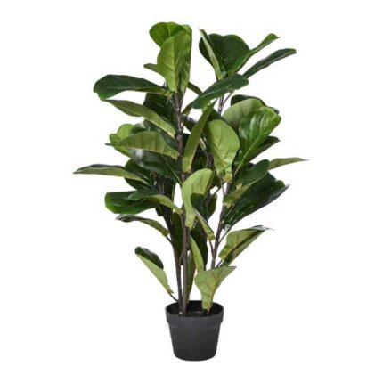 productHero-SPOTWF-BP80462329-green