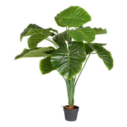 productHero-SPOTWF-BP80466766-green