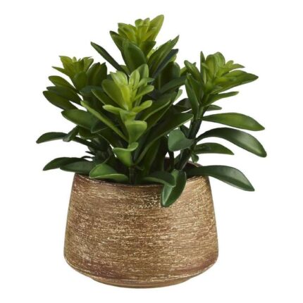 productHero-SPOTWF-BP80468411-green