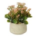 productHero-SPOTWF-BP80468419-green-2