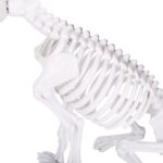 productHero-SPOTWF-BP80476336-natural-5