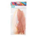 productHero-SPOTWF-BP80484844-apricot