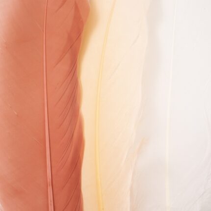 productHero-SPOTWF-BP80484844-apricot-3