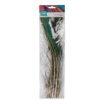 productHero-SPOTWF-BP80484864-peacock