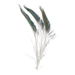 productHero-SPOTWF-BP80484864-peacock-2