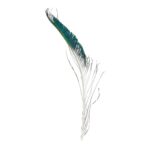 productHero-SPOTWF-BP80484864-peacock-3