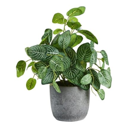 productHero-SPOTWF-BP80485625-green