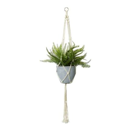 productHero-SPOTWF-BP80490963-green