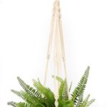 productHero-SPOTWF-BP80490963-green-5