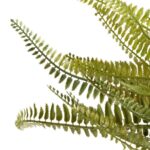 productHero-SPOTWF-BP80490963-green-7