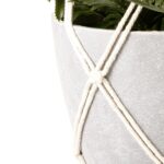 productHero-SPOTWF-BP80490963-green-8
