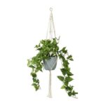 productHero-SPOTWF-BP80490964-green