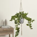 productHero-SPOTWF-BP80490964-green-2