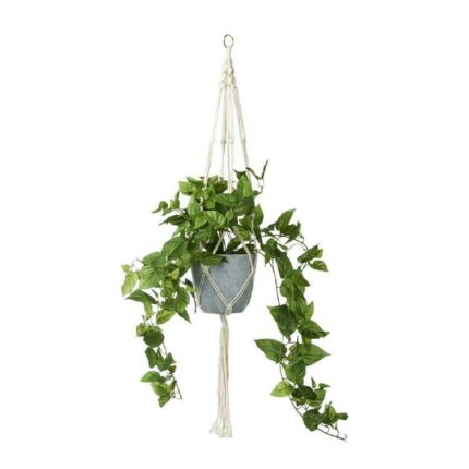 productHero-SPOTWF-BP80490964-green