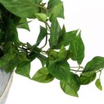 productHero-SPOTWF-BP80490964-green-6