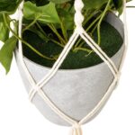 productHero-SPOTWF-BP80490964-green-8