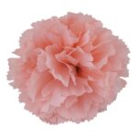 productHero-SPOTWF-BP80497287-pink-12