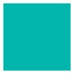 productHero-SPOTWF-BP80507056-hydrangea-3