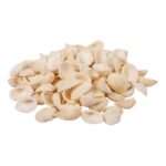productHero-SPOTWF-BP80507806-white-3