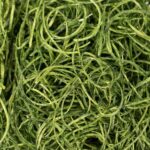 productHero-SPOTWF-BP80507831-green-4
