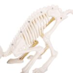 productHero-SPOTWF-BP80514354-white-5