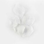 productHero-SPOTWF-BP80532408-white-2