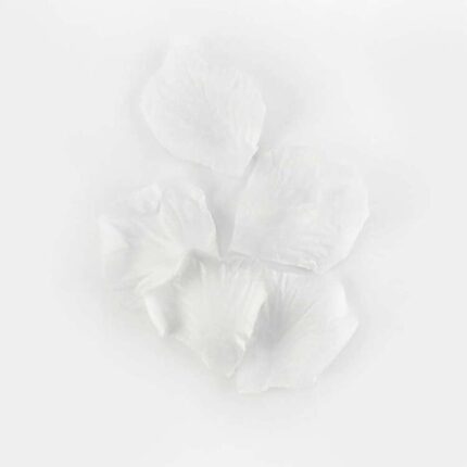productHero-SPOTWF-BP80532408-white-2